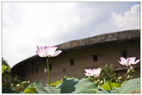 点击放大鼠标滚轮控制大小