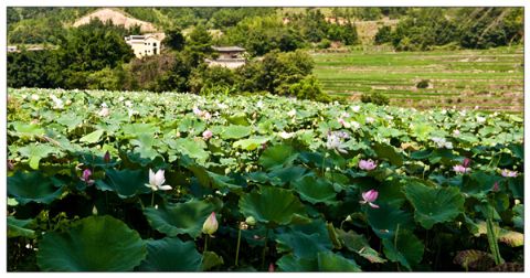 点击放大鼠标滚轮控制大小